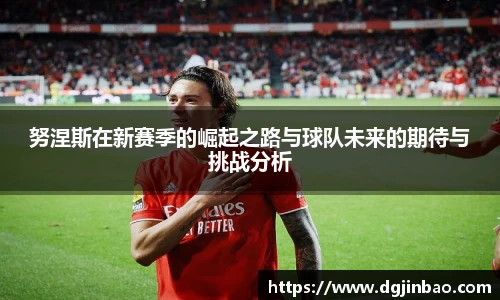 努涅斯在新赛季的崛起之路与球队未来的期待与挑战分析